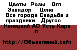 Цветы. Розы.  Опт.  Эквадор. › Цена ­ 50 - Все города Свадьба и праздники » Другое   . Ненецкий АО,Усть-Кара п.